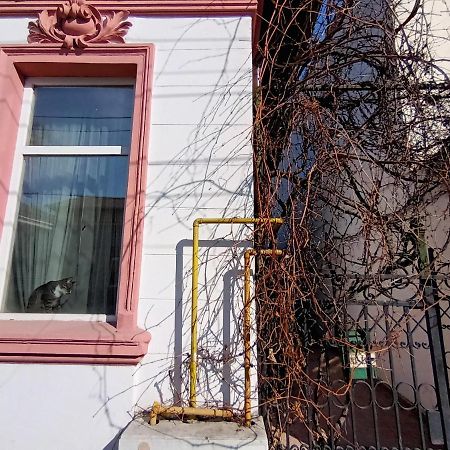 Casa Liveni Apartamento Bucareste Exterior foto
