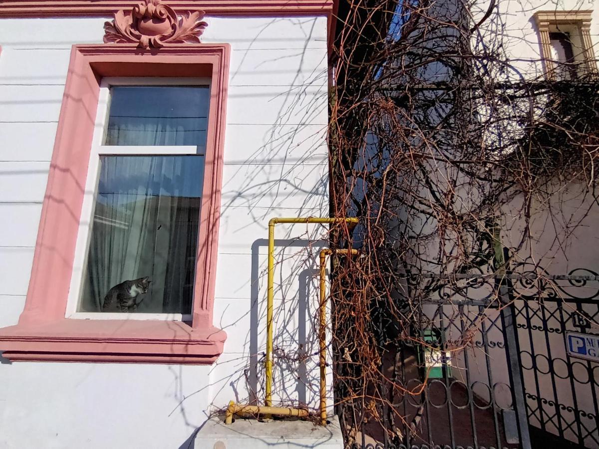 Casa Liveni Apartamento Bucareste Exterior foto