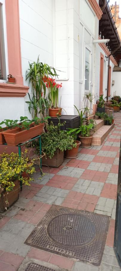 Casa Liveni Apartamento Bucareste Exterior foto